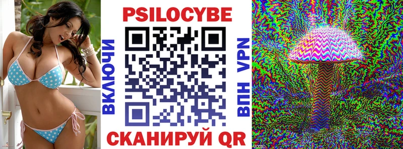 Галлюциногенные грибы Psilocybine cubensis  Александров 